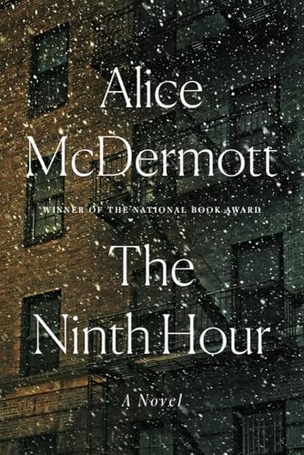 The Ninth Hour book cover