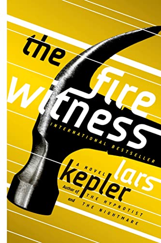 The Fire Witness book cover