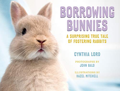 Borrowing Bunnies book cover