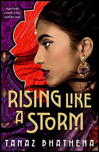 Rising Like a Storm book cover