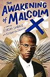 The Awakening of Malcolm X: A Novel