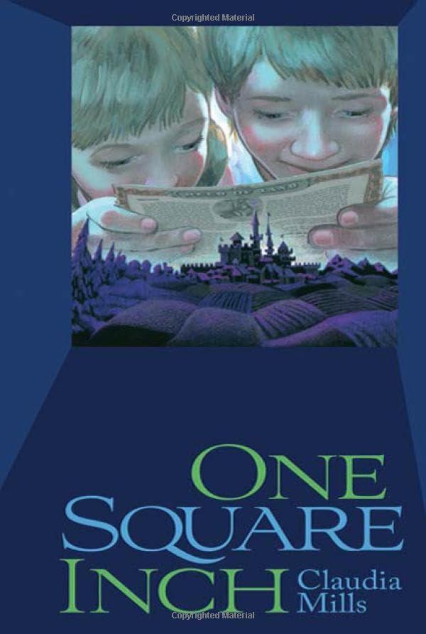 One Square Inch book cover