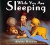 While You Are Sleeping