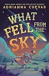 What Fell from the Sky