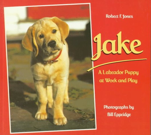 Jake book cover
