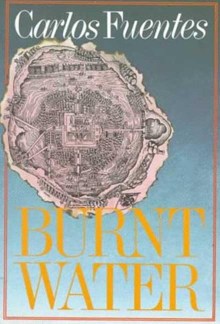 Burnt Water book cover