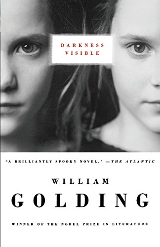 Darkness Visible book cover