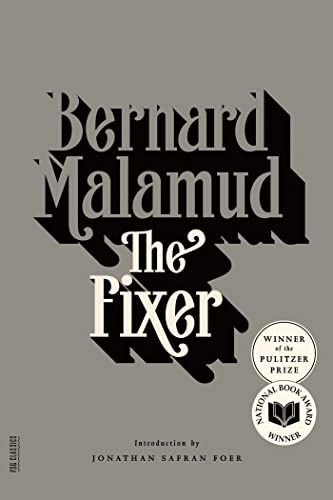 The Fixer book cover