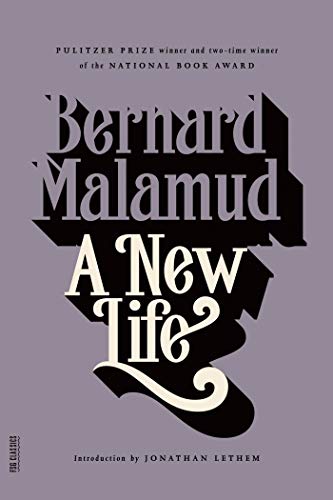A New Life book cover