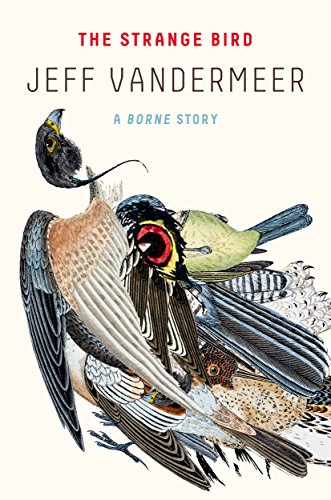 The Strange Bird book cover