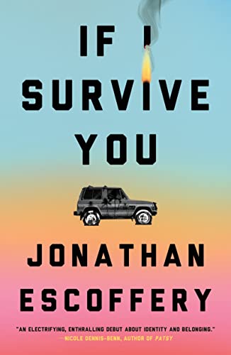 If I Survive You book cover
