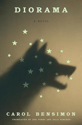 Book cover for Diorama by Carol Bensimon — Editorial Identification.