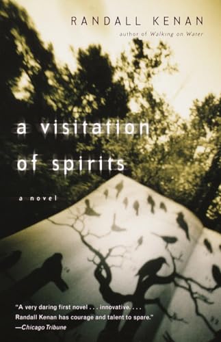 A Visitation of Spirits book cover