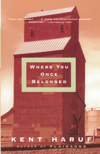 Where You Once Belonged book cover