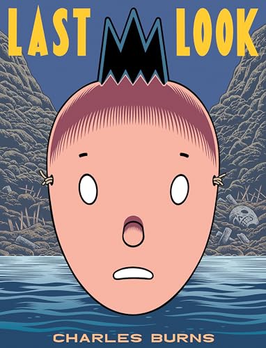 Last Look book cover