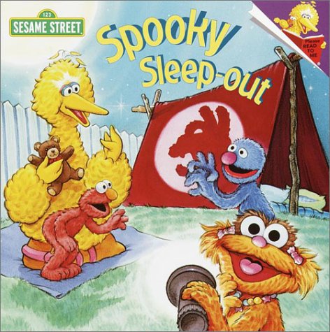 Spooky Sleep out book cover