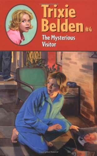 The Mysterious Visitor book cover
