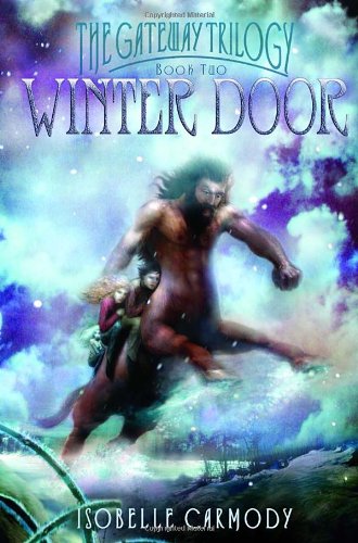 Winter Door cover