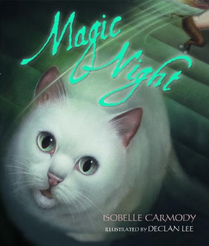 Magic Night book cover