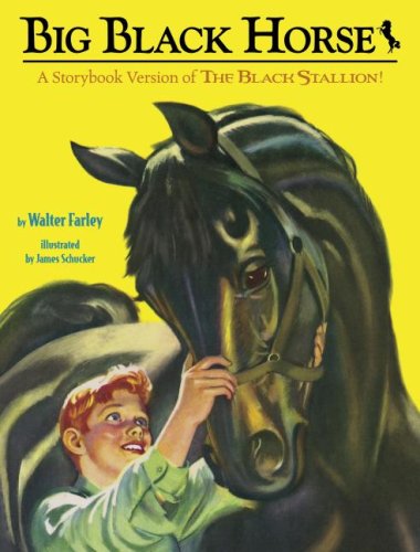 Cover of Big black horse