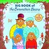 Big Book of the Berenstain Bears
