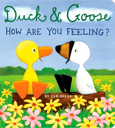 Cover of Duck & Goose, How Are You Feeling?