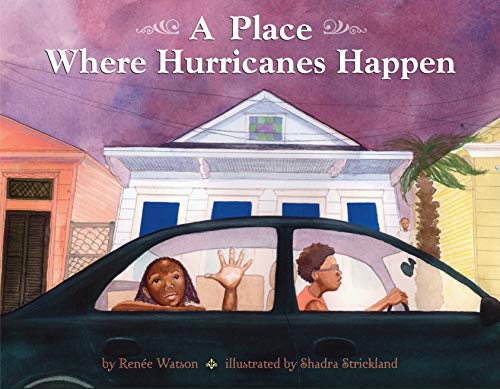 A Place Where Hurricanes Happen book cover
