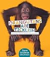 Orangutans Are Ticklish: Fun Facts from an Animal Photographer