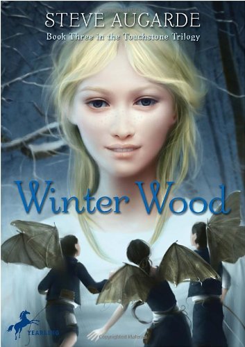 Winter Wood book cover
