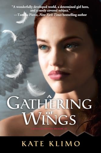 A Gathering of Wings book cover