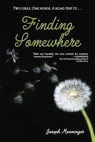 Finding Somewhere book cover