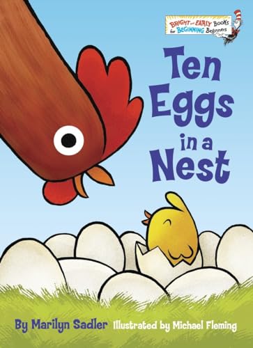 Ten Eggs in a Nest book cover