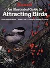 Attracting Birds