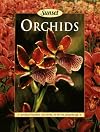 Orchids
