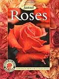 Roses Placing Roses Planting Care The Best Varieties