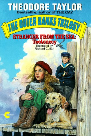 Stranger from the Sea book cover