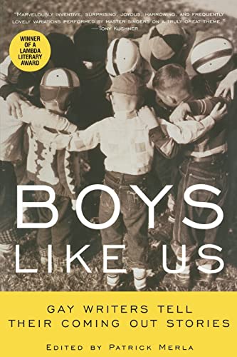 Boys Like Us: Gay Writers Tell Their Coming Out Stories book cover