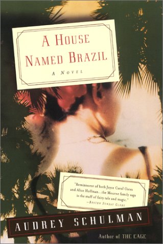 A House Named Brazil book cover