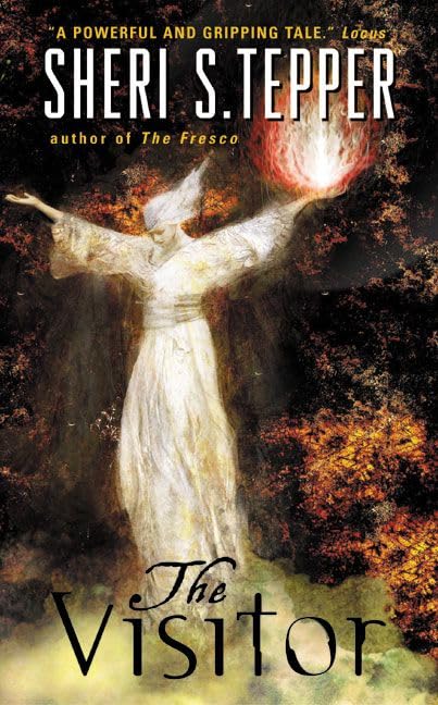 The Visitor book cover