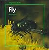 Fly