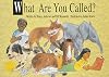 What Are You Called (Voyages)