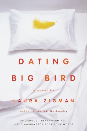 Dating Big Bird book cover