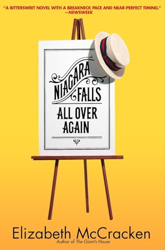 Niagara Falls All Over Again book cover