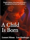 A Child Is Born