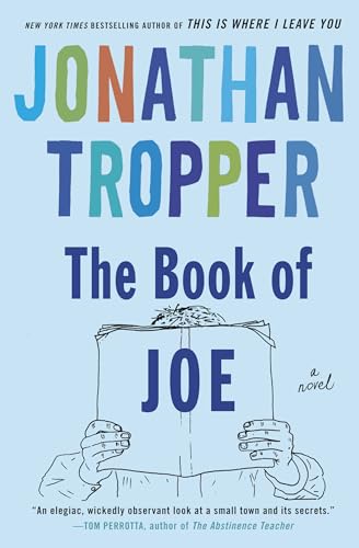 The Book of Joe / Bush Falls book cover