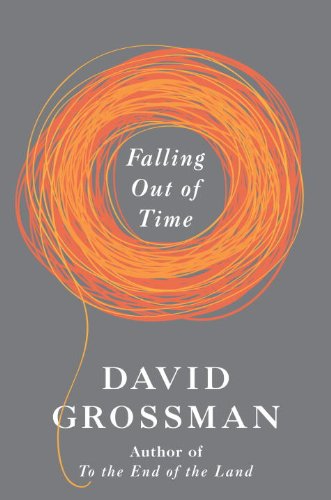 Falling Out of Time book cover