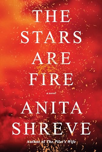 The Stars Are Fire book cover