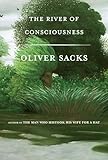 The River Of Consciousness