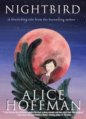 Nightbird book cover