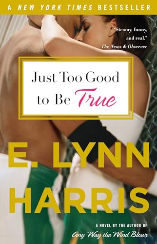 Just Too Good to Be True book cover